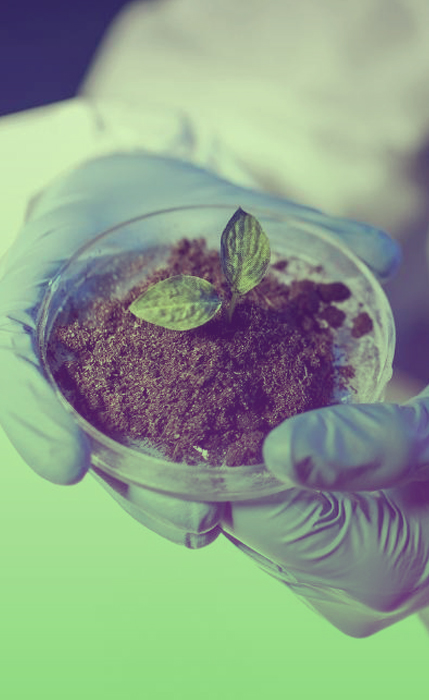 ANÁLISIS DE SUELOS, AGUA Y PLANTAS (LABSAP)